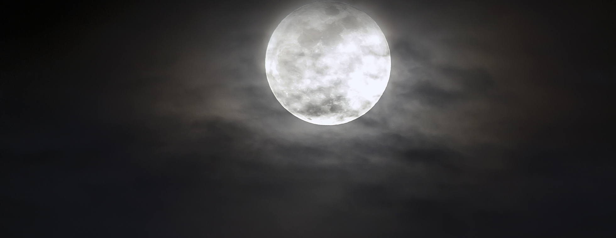Beaver Moon Walk | November 19
